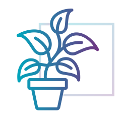 Outlined icon of a potted plant